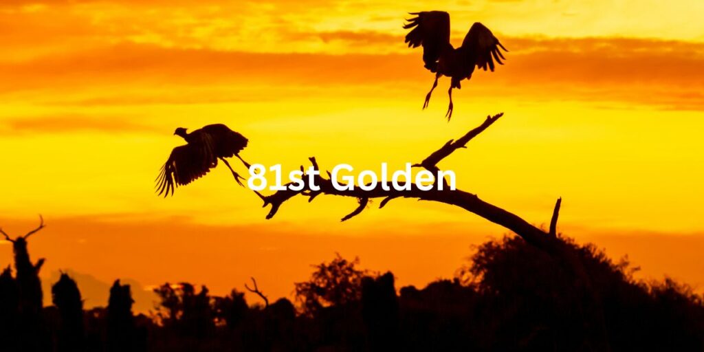 81st Golden