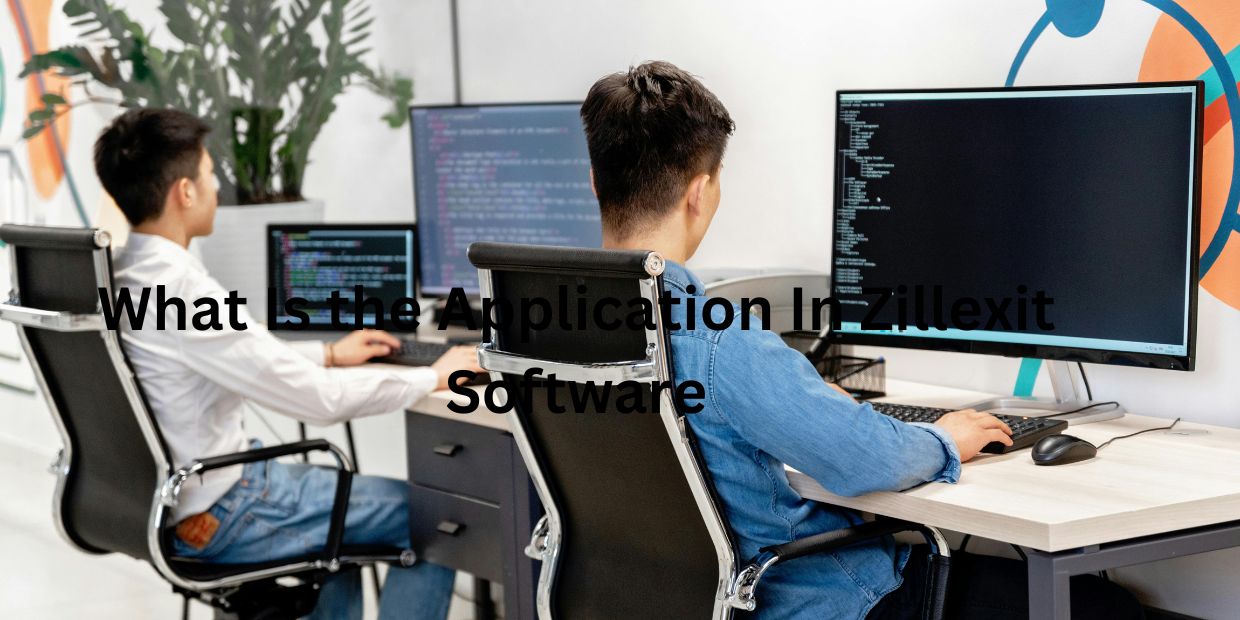 What Is the Application In Zillexit Software